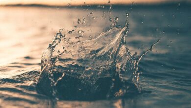 selective focus photography of water splash