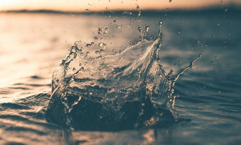 selective focus photography of water splash